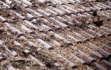 Elcombe roof cleaning companies