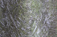 Elcombe fibreglass roof work